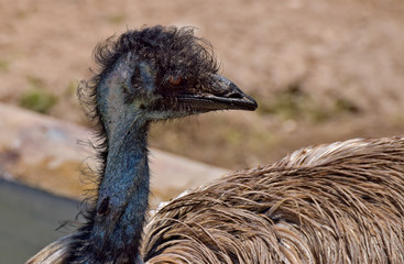 terra natura © FRANCISCO