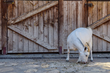terra natura © FRANCISCO