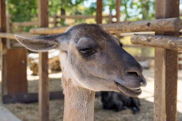 terra natura © FRANCISCO