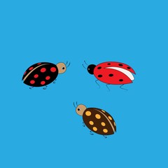 Ladybird color set. Illustration ladybug on blue background. Cute colorful sign insect symbol spring, summer, garden. Template for t shirt, apparel, card. Design element. Vector illustration.