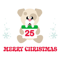 winter christmas dog sitting with christmas calendar and christmas text