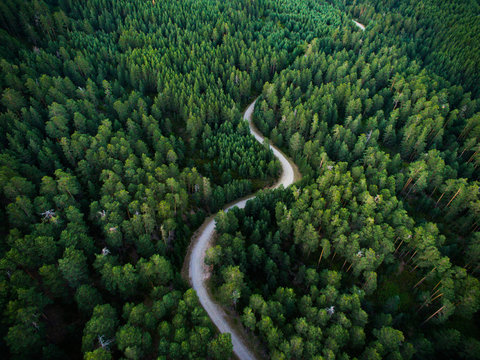 Aerial view from drone, of curved mountain road between woods.