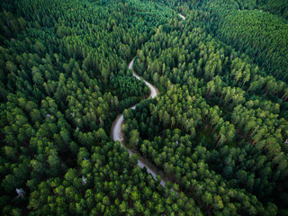 Aerial view from drone, of curved mountain road between woods.