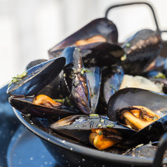 Traditional barbecue spanish  mussel in a black casserole