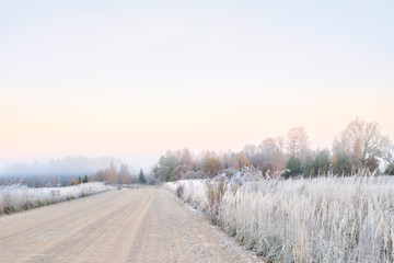 Beautiful view of autumn foggy misty morning with frosted plants