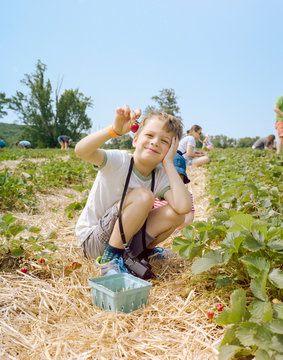 Family day at the Strawberry patch