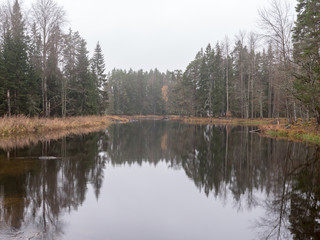 reflection of trees in lake