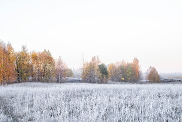 Beautiful view of autumn foggy misty morning with frosted plants
