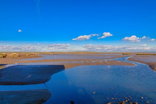  regi&otilde;es pantanosas na reserva natural do estu&aacute;rio de Sado