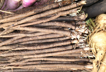 Salsify is a lovely heirloom vegetable