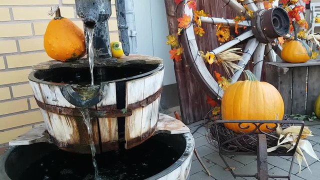 autumn decoration with pumpkins and Floating water