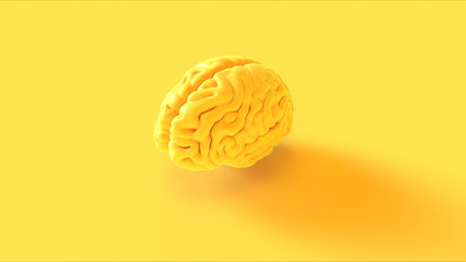 Yellow Human brain Anatomical Model 3d illustration 3d rendering
