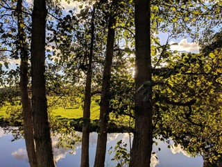 blue sky and water reflection trough trees