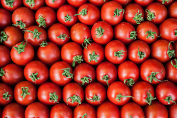 Group of small fresh tomatoes.Vegetable fresh tomatoes. Many tomatoes.