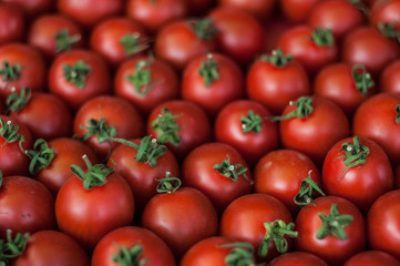 Group of small fresh tomatoes.Vegetable fresh tomatoes. Many tomatoes.