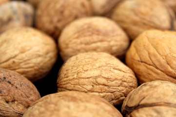 texture walnut in shell fresh crop