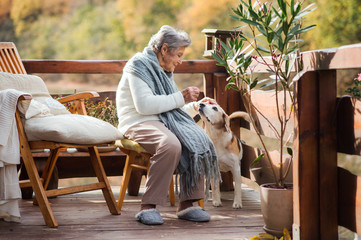 An elderly woman with a dog sitting outdoors on a terrace on a sunny day in autumn.