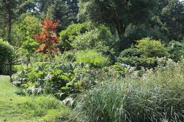 fotos de paisajes varios 