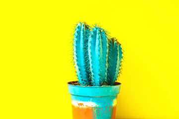 Bright cactus of sky blue on a yellow background