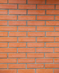 Obraz premium OLYMPUS DIGITAL CAMERA