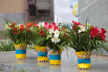 colorful flowers in flower pots