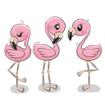 Cute Flamingo Images – Browse 51,597 Stock Photos, Vectors, and Video |  Adobe Stock
