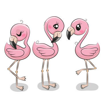 Download 1 207 Best Pink Flamingo Clip Art Images Stock Photos Vectors Adobe Stock