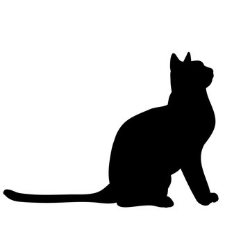 isolated silhouette cat sitting