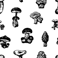 Seamless pattern of various edible mushrooms