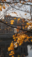 spichlerz nad rzeką o wschodzie słońca za drzewami © Arkadiusz