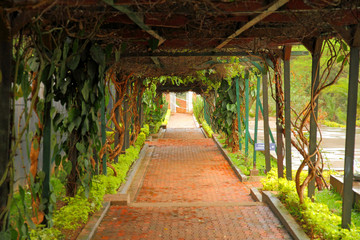 Kigali Genocide Memorial Walkway