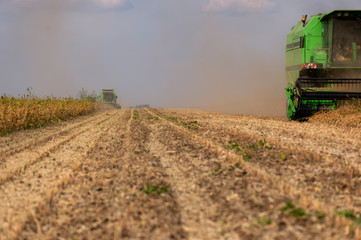 Obraz premium Harvesting of soybean field with combine