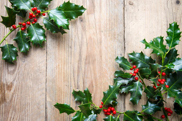 Seasonal background of shiny green Christmas holly with bright red berries framing a diagonal of...
