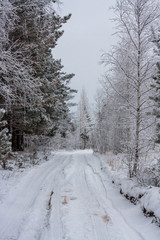Obraz premium Frozen and snowy forest road. dangerous pavement. seasonality of transport