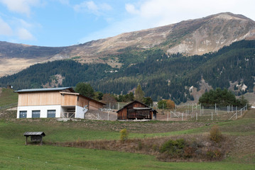 Fototapeta na wymiar Serfaus Fiss Ladis, Tirol, Austria