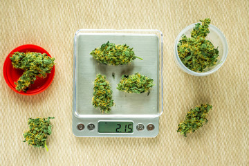 Cones of cannabis flowers on the scales. Measuring of Buds of medical marijuana. Weighing marijuana...