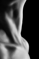 beautiful female slim neck with clavicle on black background, monochrome