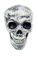 Decorative scary skull, Halloween holiday