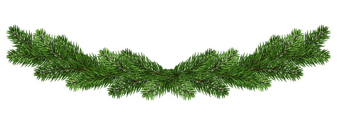 A long garland of fir branches. Isolated without shadow. Christmas decorations. New Year.