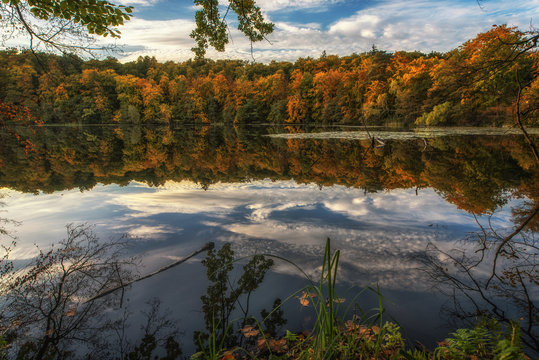 In autumn, nature paints the leaves colorful and enchants with so many colors. It is especially nice when the whole thing is still reflected in the water. Concept: recreation or autumn