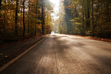 Herbstliche Landstraße