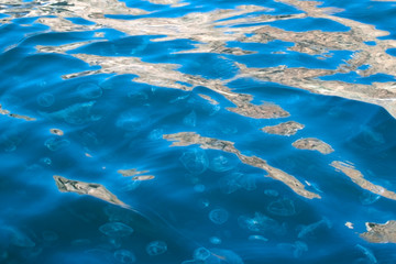many jellyfish in the blue sea. top view above water