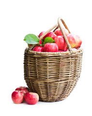 Big basket full of fresh apples isolated on white