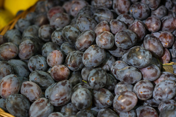 Fruit on the counter. Plums