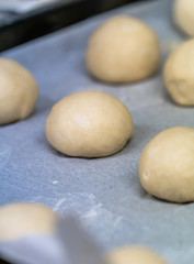 Fototapeta na wymiar Small Bread Dough Balls Placed on Cooking Paper on Pan - Ready to be Baked