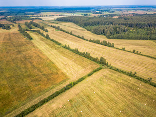 Aerial Drone Photo of Hay Rolls in the Wheat Field, Surrounded with Forests