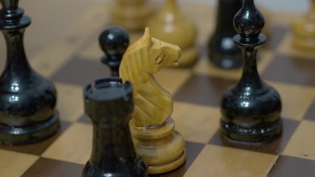 Hand Moves Chess Horse