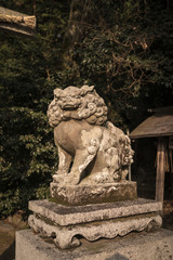 lion statue in temple