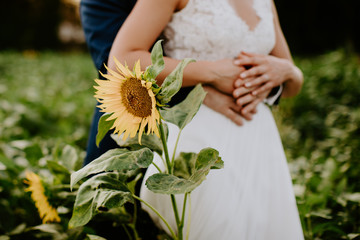 Les mariés et le Tournesol