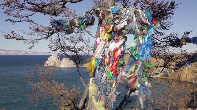 Ritual ribbons on a tree on the Olkhon island, overlooking Cape Burkhan. Lake Baikal